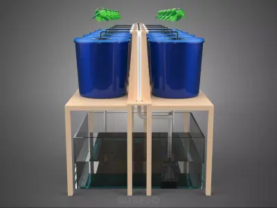 BATO CULTIVATION FRUITS VEGETABLES PLANT HYDROPONIC FARM GARDEN 3D model