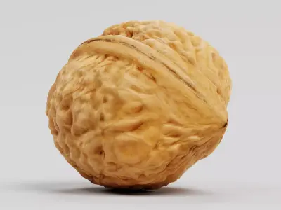 Walnut Shell - Realistic Whole Nut 3D model