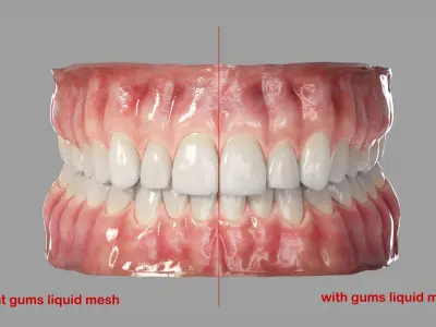  Realistic Human Mouth Teeth Tongue Rigged 