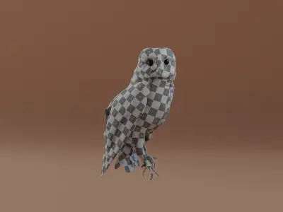 Photorealistic Barn Owl Low-poly 3D model