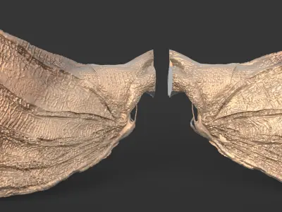 Arch Angel And Arch Dragon wings  3D print model