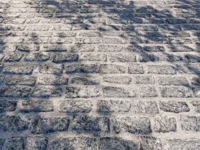 Paving Stone Paving Slabs 4 3D model