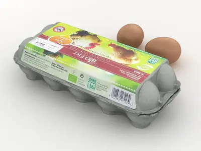 Egg Carton 002 3D model