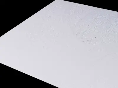 Manaus Brazil City Landscape 3D Model 3D model