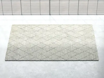 Losagne White Rug 3D model