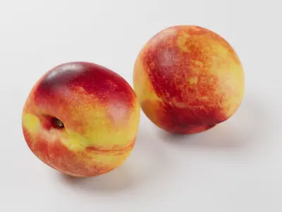 Nectarine - 3D Scan 3D model