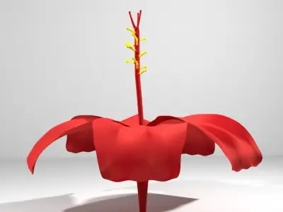 Flower - Hibiscus 3D model