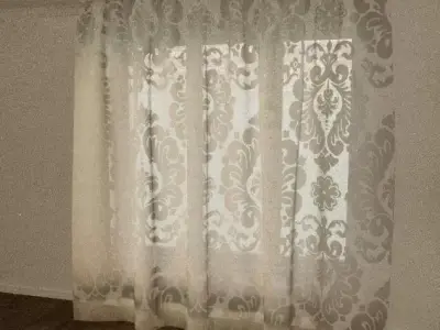 Luxury Classic Ornamental Curtain 3D model