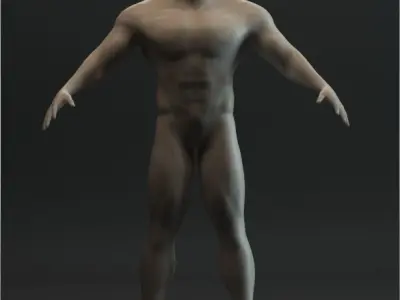 Synthetic humanoid male 2 3D model