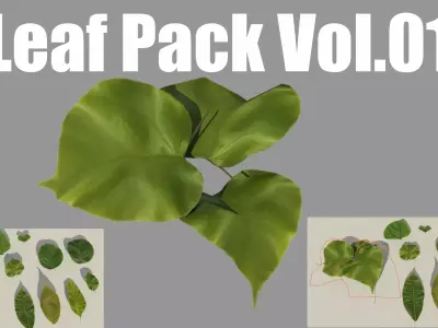 Leaf realistic pack Vol 01  Low-poly 3D model