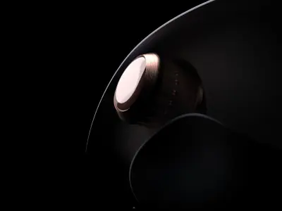 Stingrays 3d print concept model 3D print model