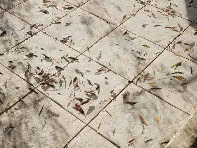 Floor Tiles Package 3D model