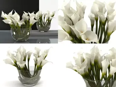 Calla Lily 3D model