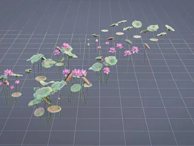 Realistic Lotus Art Low-poly 3D model