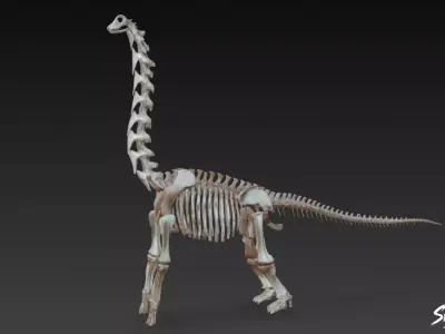 Brachiosaurus fossil   Low-poly 3D model