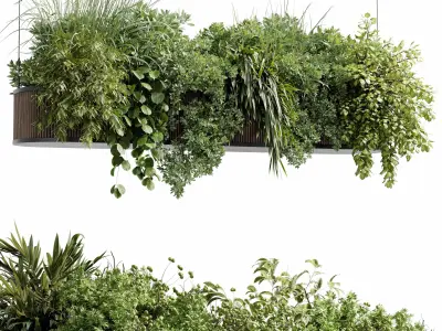 Hanging Plants - Indoor plant 505 corona 3D model