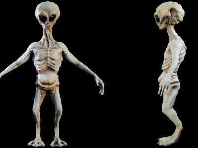 Rigged Realistic Alien 3D model