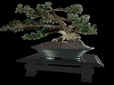 Low-Poly Bonsai Tree Low-poly 3D model