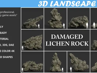 Low poly Damaged Lichen Rock B 190907 Low-poly 3D model
