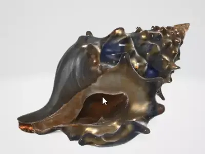 Beach Seashell 3D Model for Games and Animation 3D model