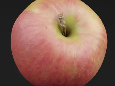 Apple Fruit Free 3D model