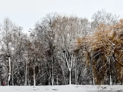 Panorama of the park with a lake and snow-covered trees - 35k 3D model