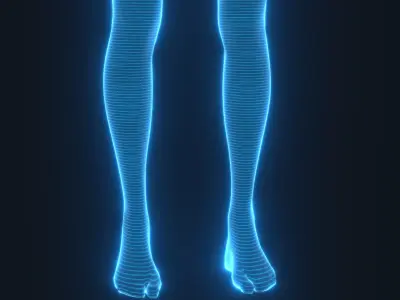 Human Hologram Male and Female 3D Model Collection 3D Model Pack