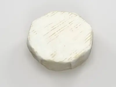 Camembert Cheese 3D model