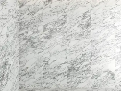 Marble 24 Texture