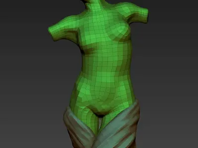 Marble Female Torst Bust Sculpture - OBJ ZTL HIP 3D model