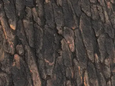 Rough Dark Tree Bark PBR Seamless Texture
