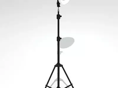 Light umbrella and lamp holder 3D model