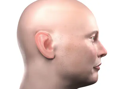 Elon Musk skin textured 3D portrait  Low-poly 3D model