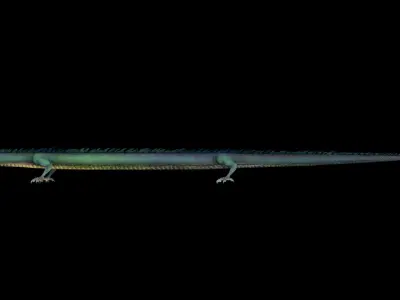 dragon ChineseDragon loong imperial 3D model