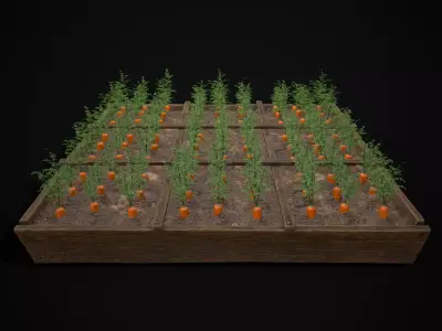 Square Planting Plot with Carrots Low-poly 3D model