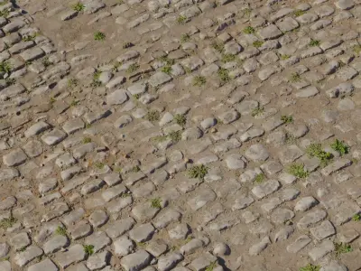 Dusty Cobblestone With Weeds PBR Texture Texture