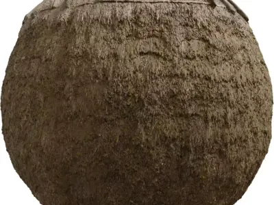 Weathered Thatch Roof  Texture