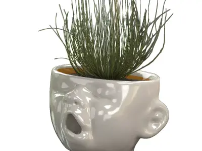 Baby Head Pot Planter 3D model