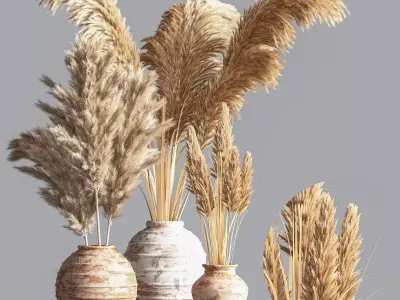 IndoorPlantSet10 dried grasses in vases 3D model