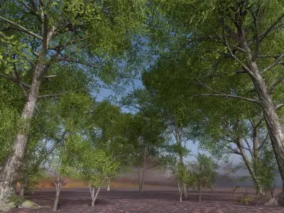 Forest Tree Set Low-poly 3D model