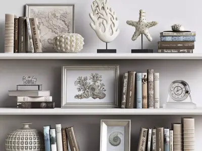 Decor Set 2 bookshelves with seashells 3D model