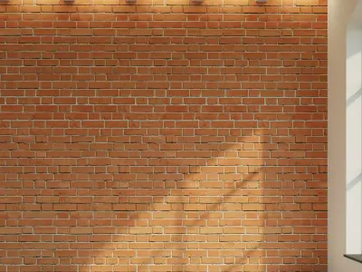 Brick wall Old brick 24 Texture