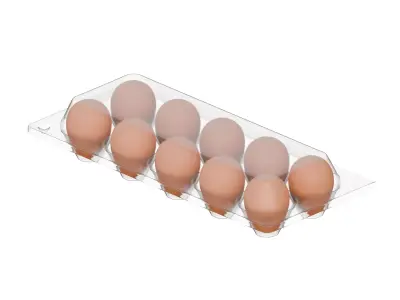 Egg Plastic Packaging 3D model
