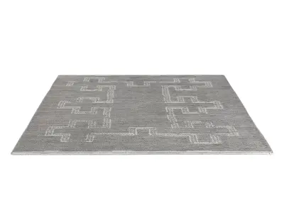 ISHANI WOOL RUG 3D model