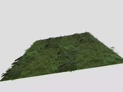 High Precision Ivy Plant Green Wall  3D model