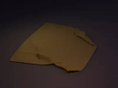 Wrinkled Carpet 3D model