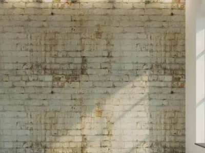 Brick wall Old brick 34 Texture