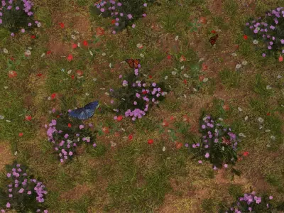 Beautiful Animated Windy Grass field flowers with Butterflies 3D model