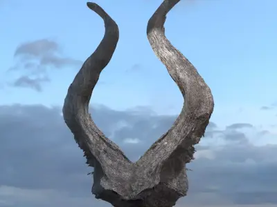 Alien meteor Wraith horns  3D model