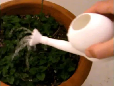 BALCONY SPRINKLER 3D print model